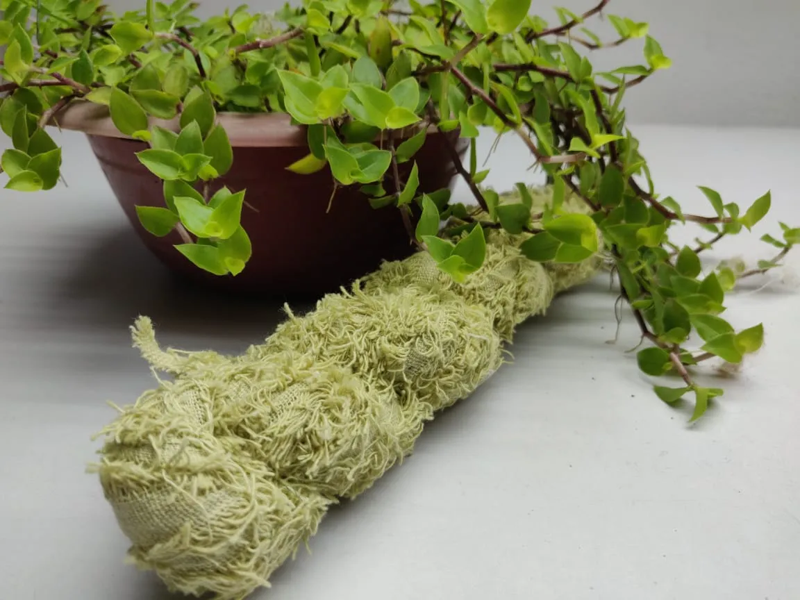 Cotton Frizz Ribbon - Sickly